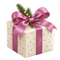 weihnachtspaket